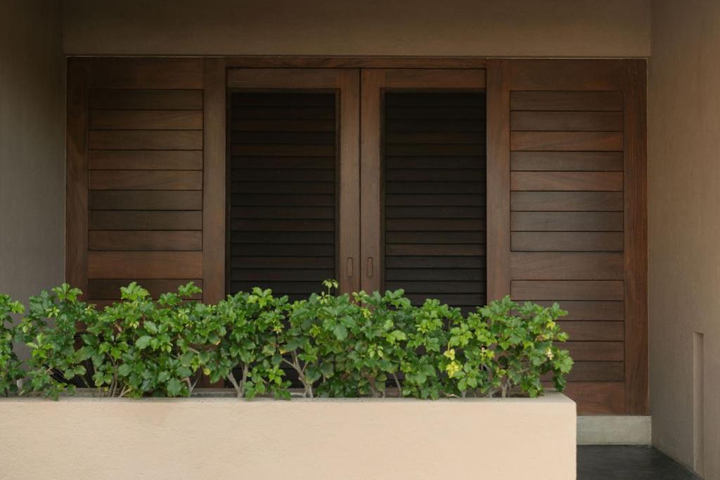 Lo Sereno Casa De Playa Troncones Exteriör bild