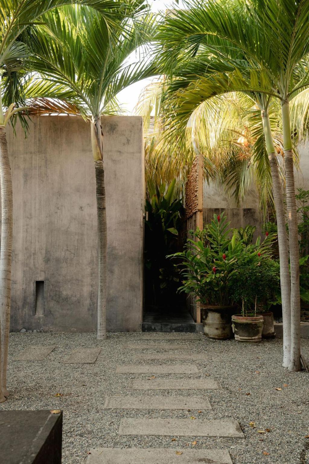 Lo Sereno Casa De Playa Troncones Exteriör bild