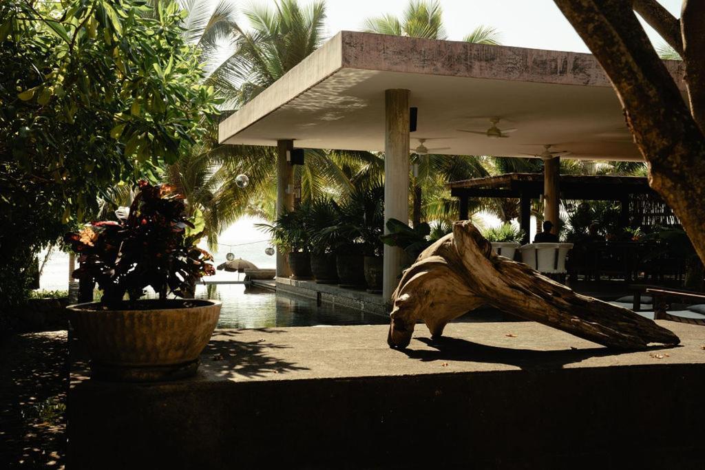 Lo Sereno Casa De Playa Troncones Exteriör bild